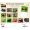 BrownTrout; For the Love of Dachshunds | 2027 14 x 24 Inch (Hanging) Monthly Deluxe Wall Calendar | Foil Stamped Cover | Plastic-Free; Category:Wall Calendars; Image:3